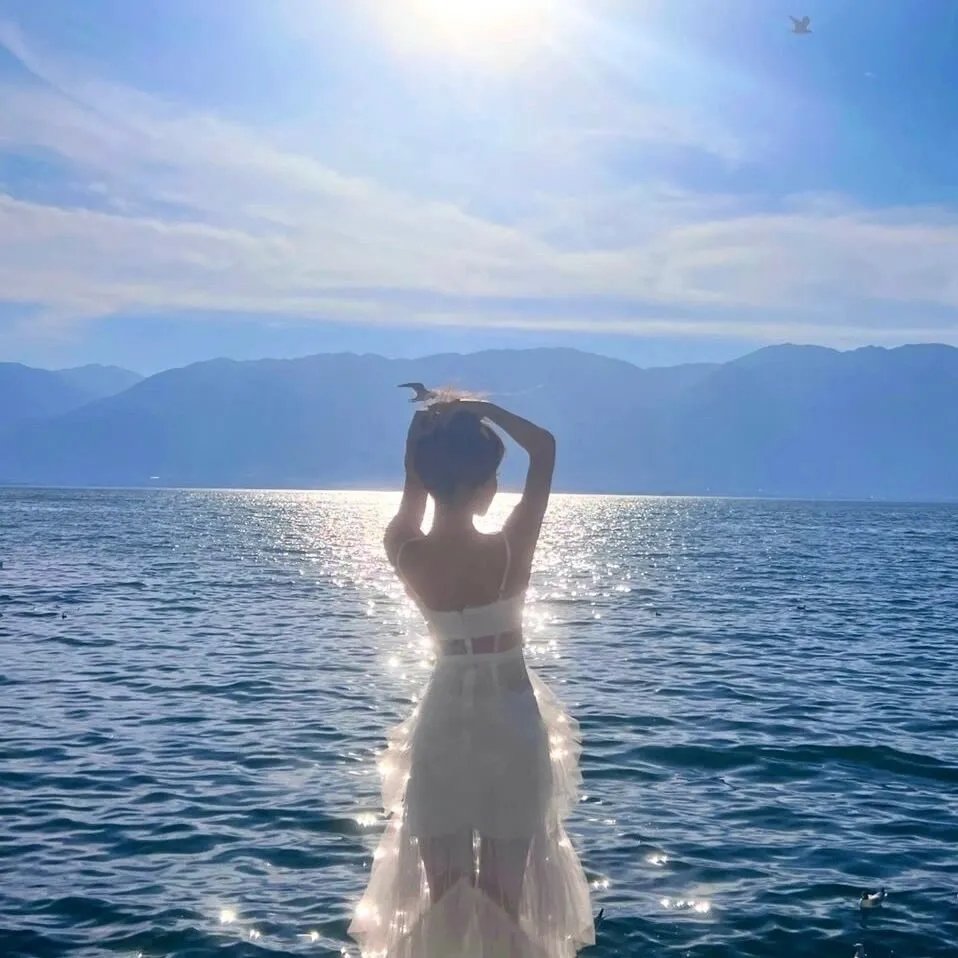 喋血双雄 (2024年电影)